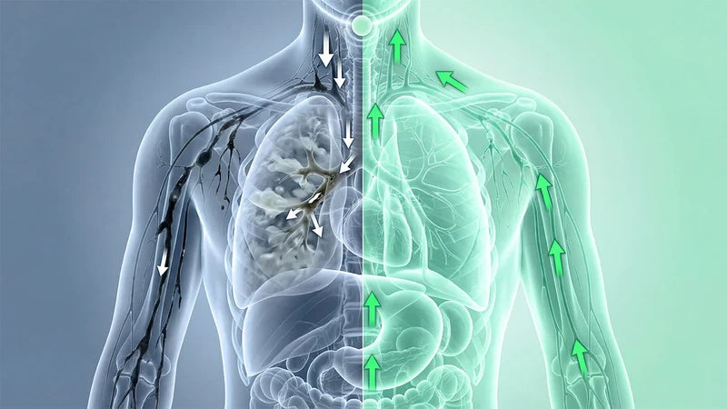 Trapped Lung Mucus Is The <span>#1 Reason</span> People Can't Breathe Properly